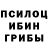 Псилоцибиновые грибы Magic Shrooms Frost Time