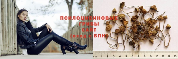 стафф Алзамай