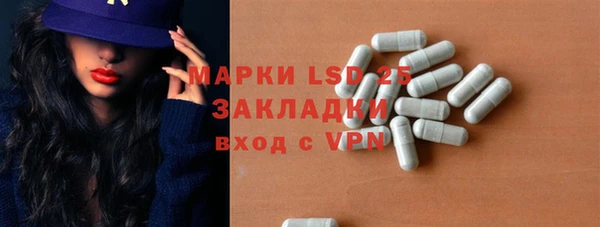 стафф Алзамай