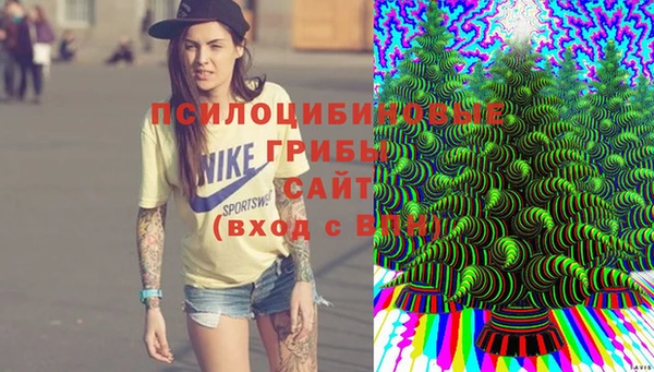стафф Алзамай