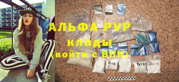 стафф Алзамай